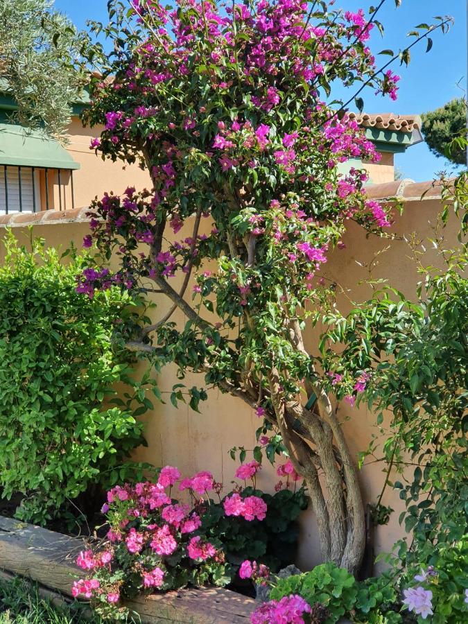 צ'יקלנה דה לה פרונטרה Villa Ostrero מראה חיצוני תמונה